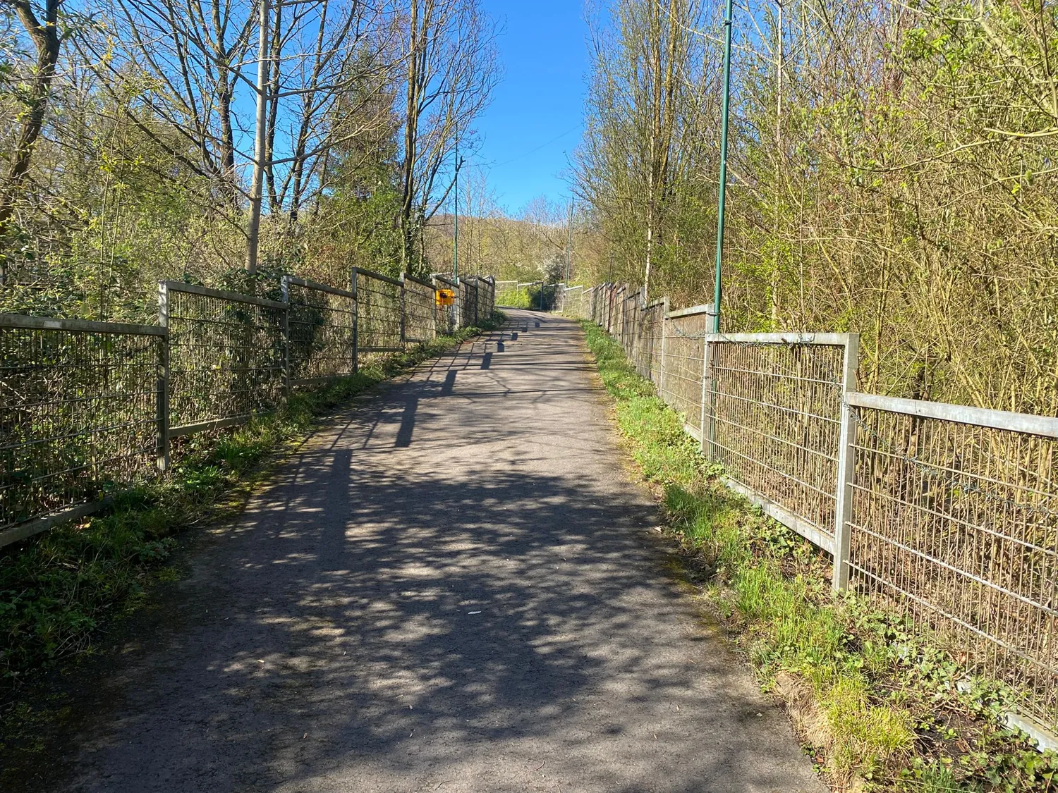 Weg durch Wiesen und Wald Richtung Gelände