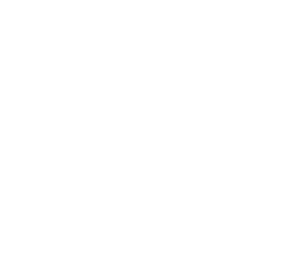 BAR profis